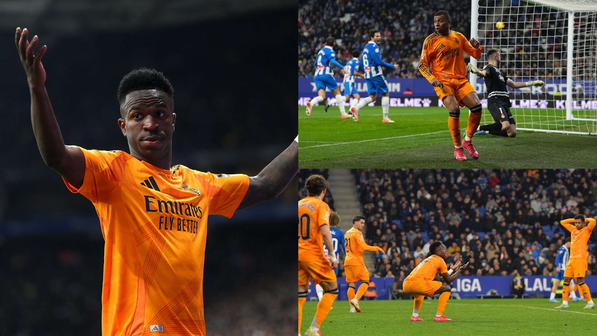 德对他的极 德对他的极