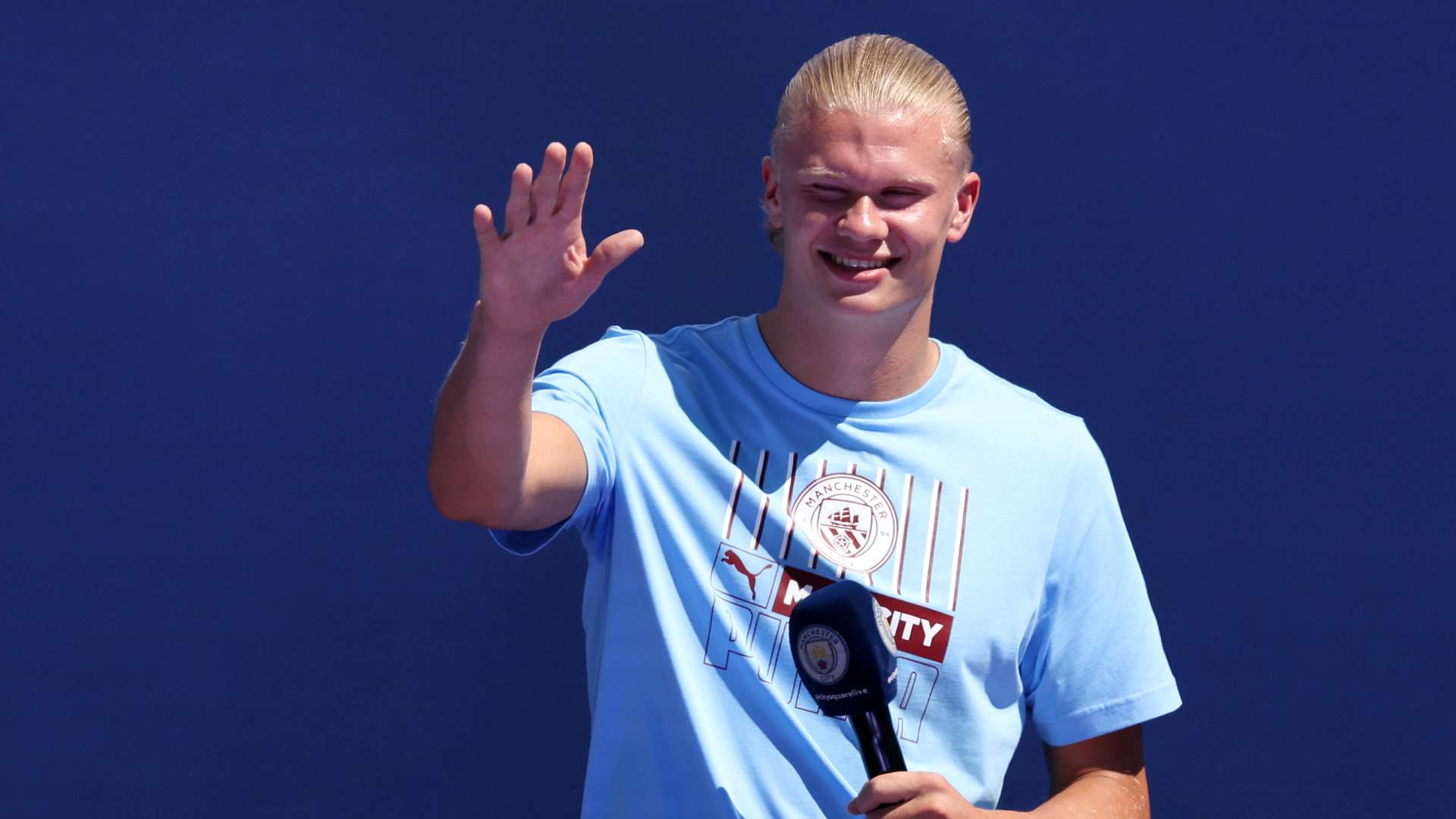 毒蛇队不仅 毒蛇队不仅